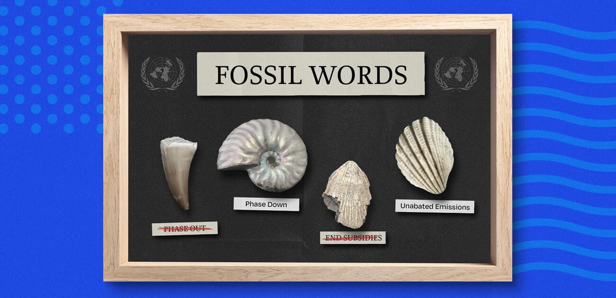 BE3098_CIpher_Fossil_1300x630_NEWSLETTER (1) (1)