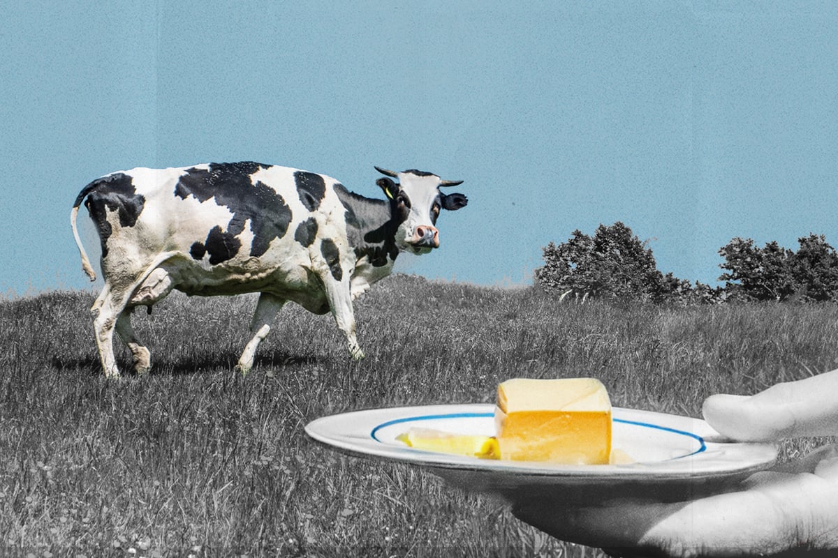 Cipher_August_food_without_farms_V5