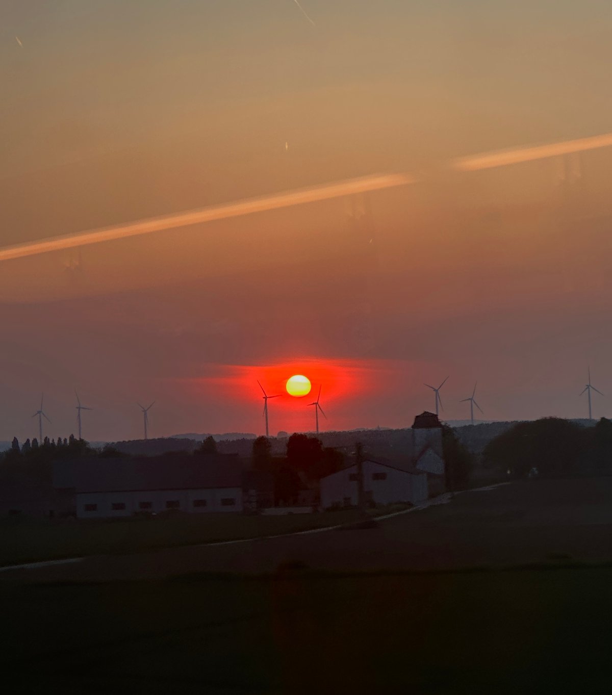 IMG_5154
